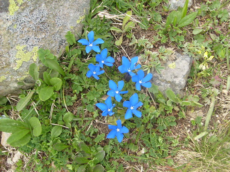 S6302516.jpg