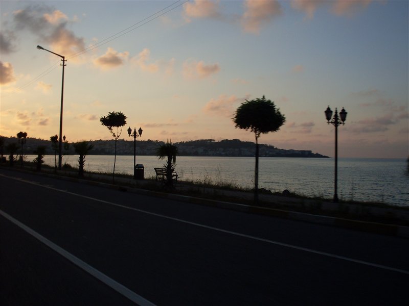 sdc10019proc5f.jpg
