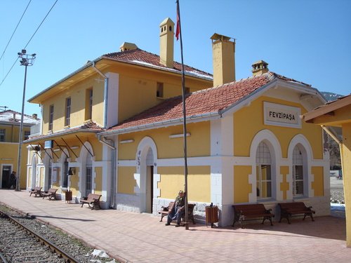 8162631.jpg