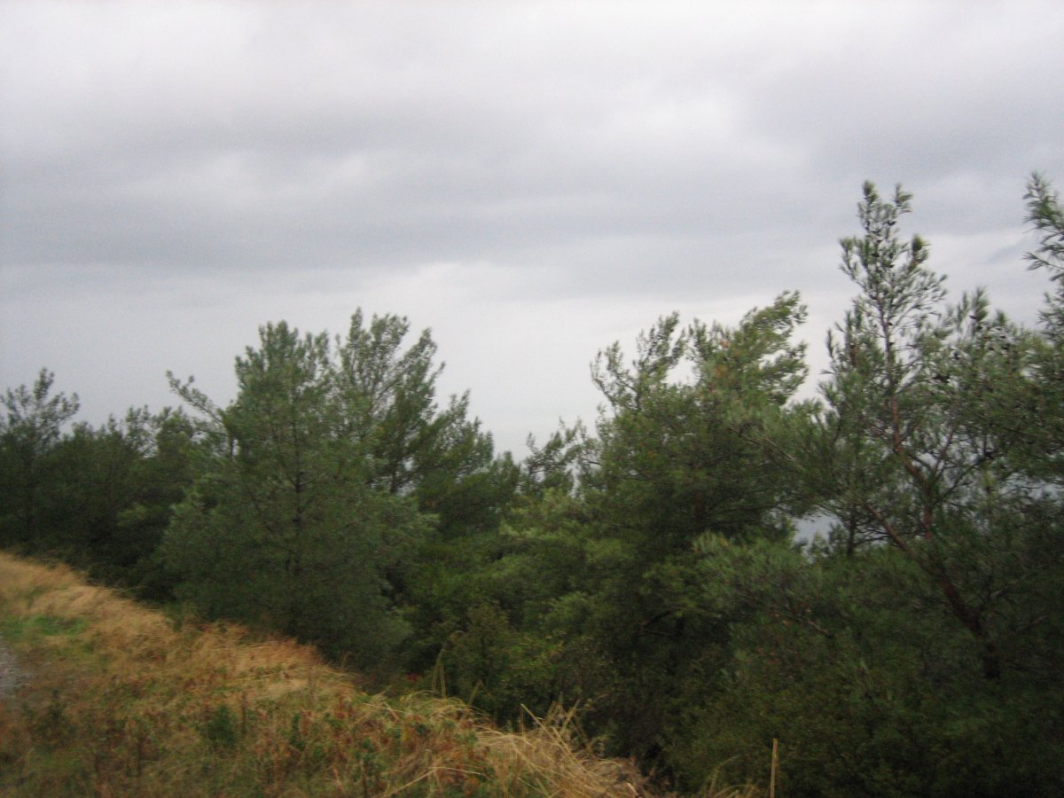 catalkaya028.jpg