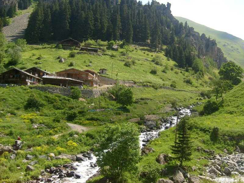 S6302459.jpg