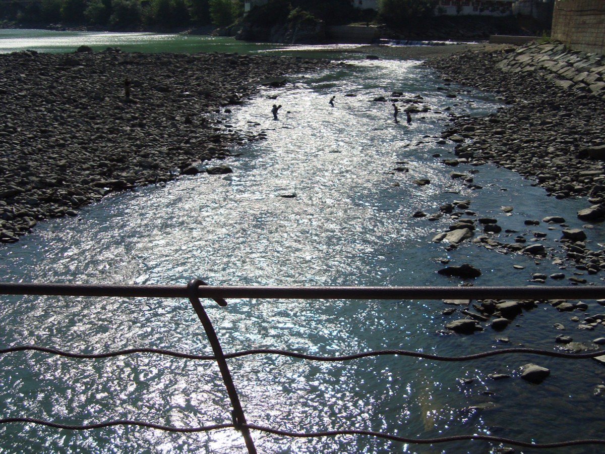 dsc01650su.jpg