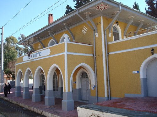 8162487.jpg