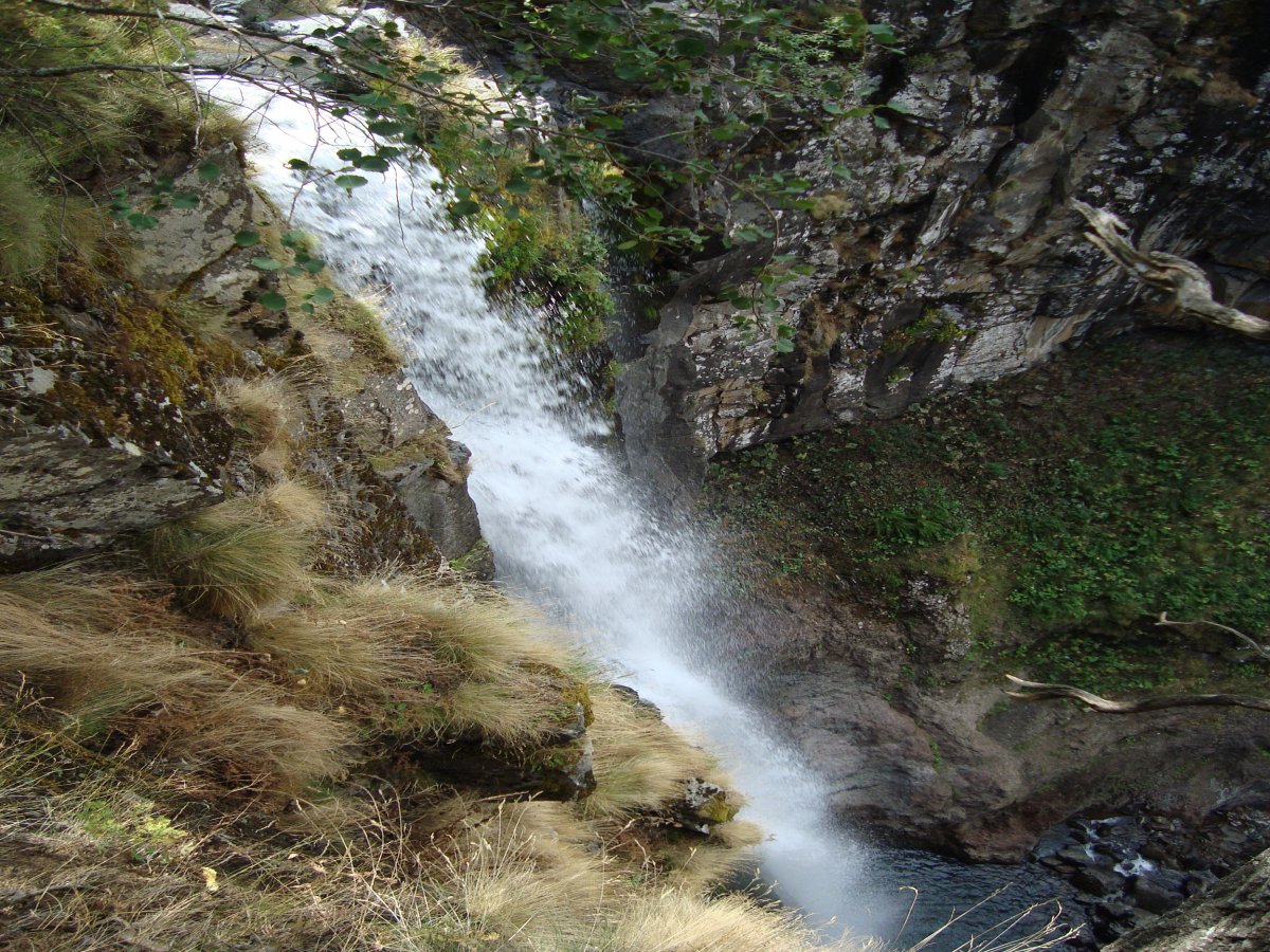 dsc01846y.jpg