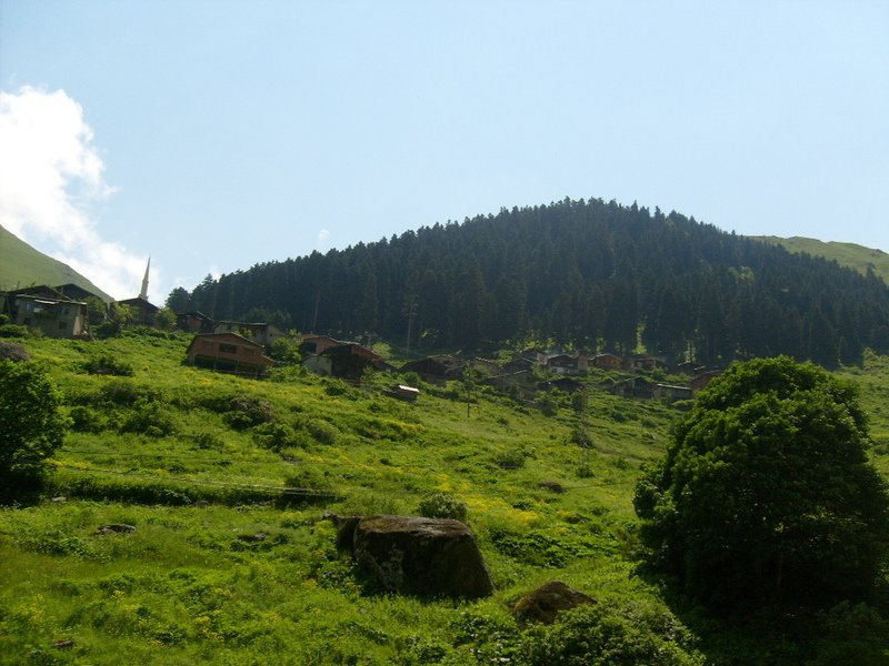S6302461.jpg