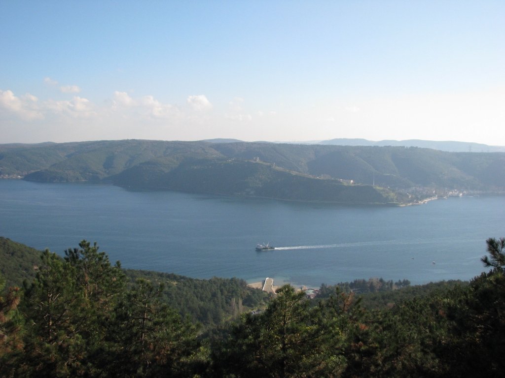 img4193rk3.jpg