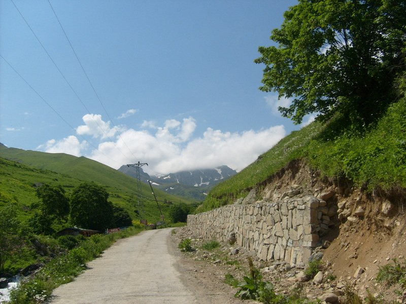 S6302465.jpg