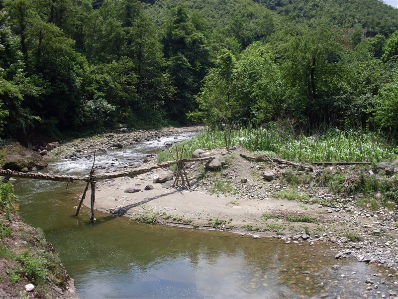 sdc10084proc11.jpg
