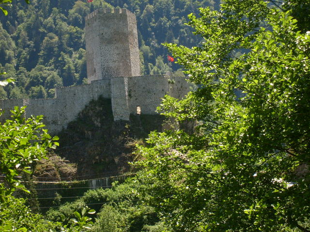 S6302442.jpg