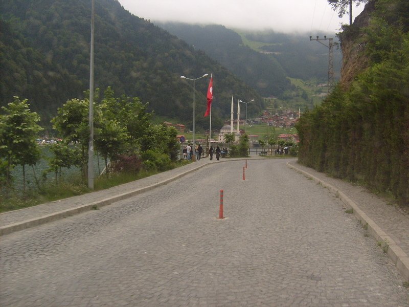 S6302571.jpg