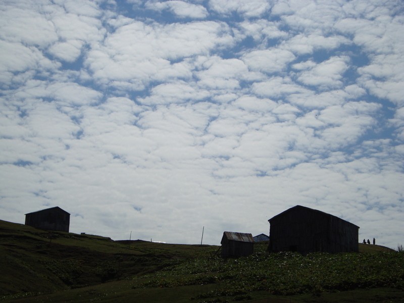 dsc015310.jpg