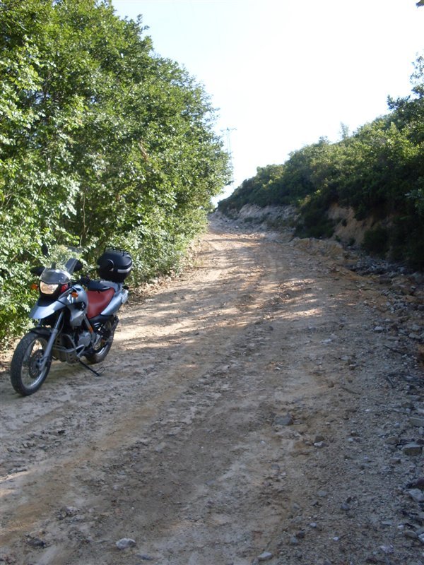 80956106.jpg