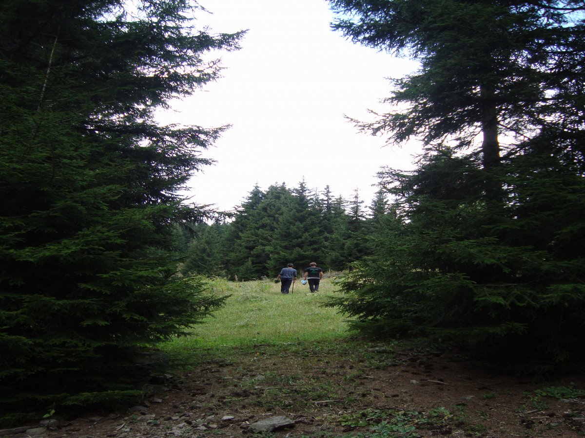 dsc01928u.jpg