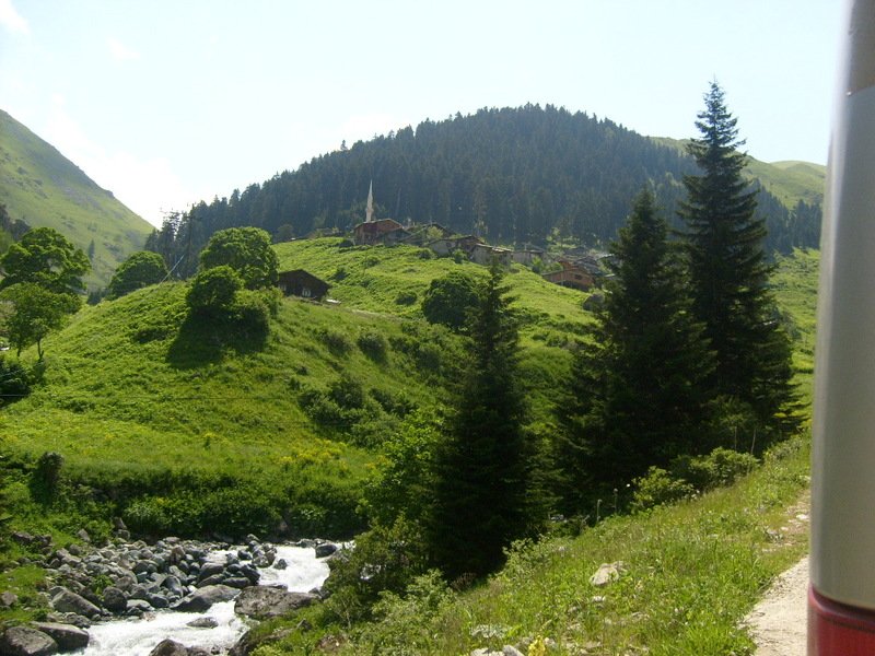 S6302458.jpg