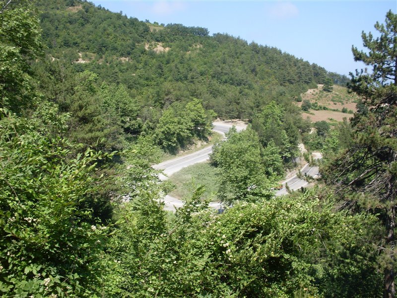 sdc10006proc3.jpg