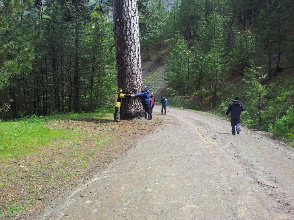 20120519_140130.jpg