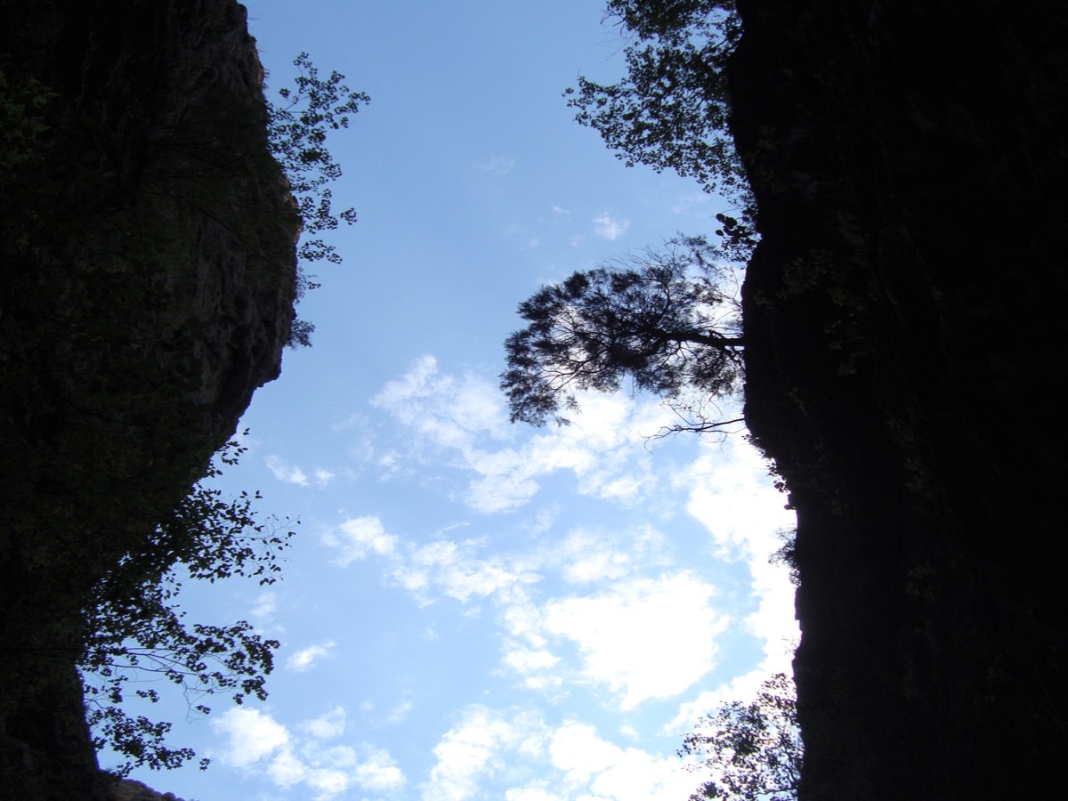 dsc01663fc.jpg