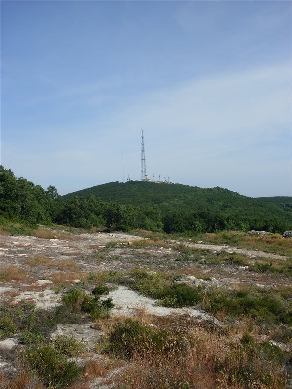 107wqc.jpg