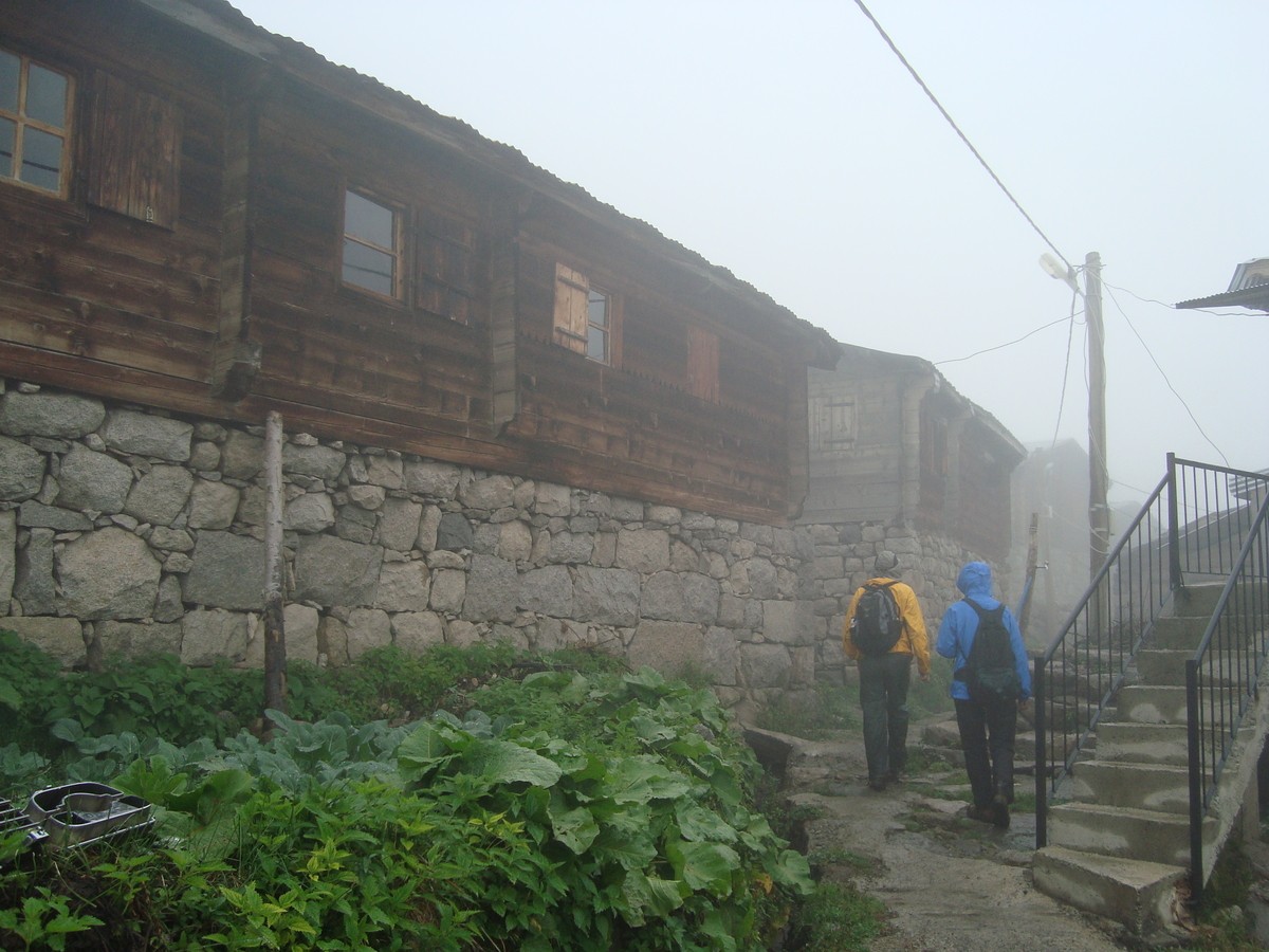 dsc02342in.jpg
