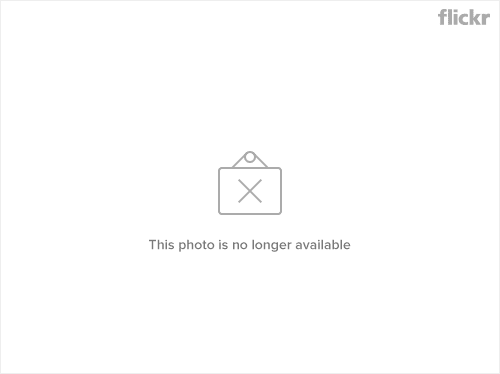 4644637016_f2b76bb95e.jpg