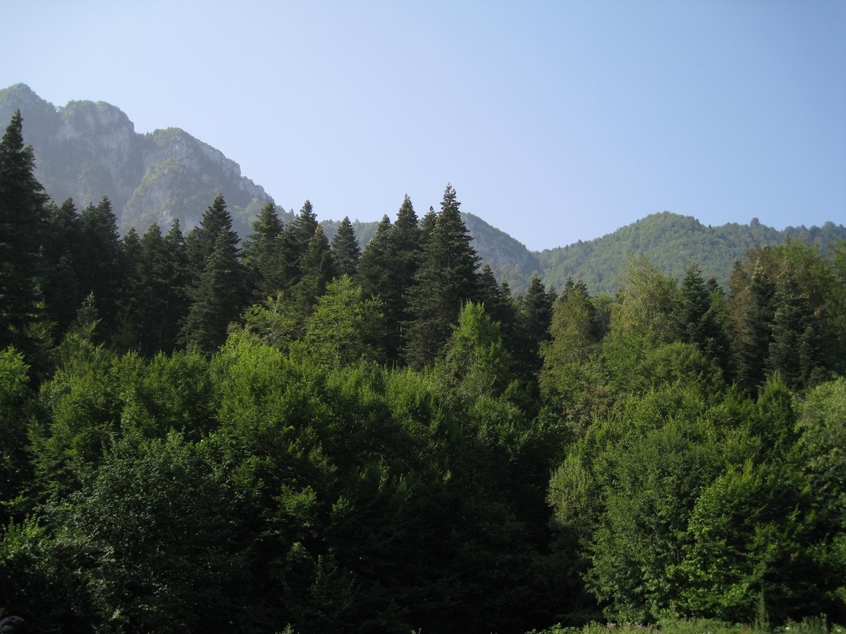 41280442.jpg