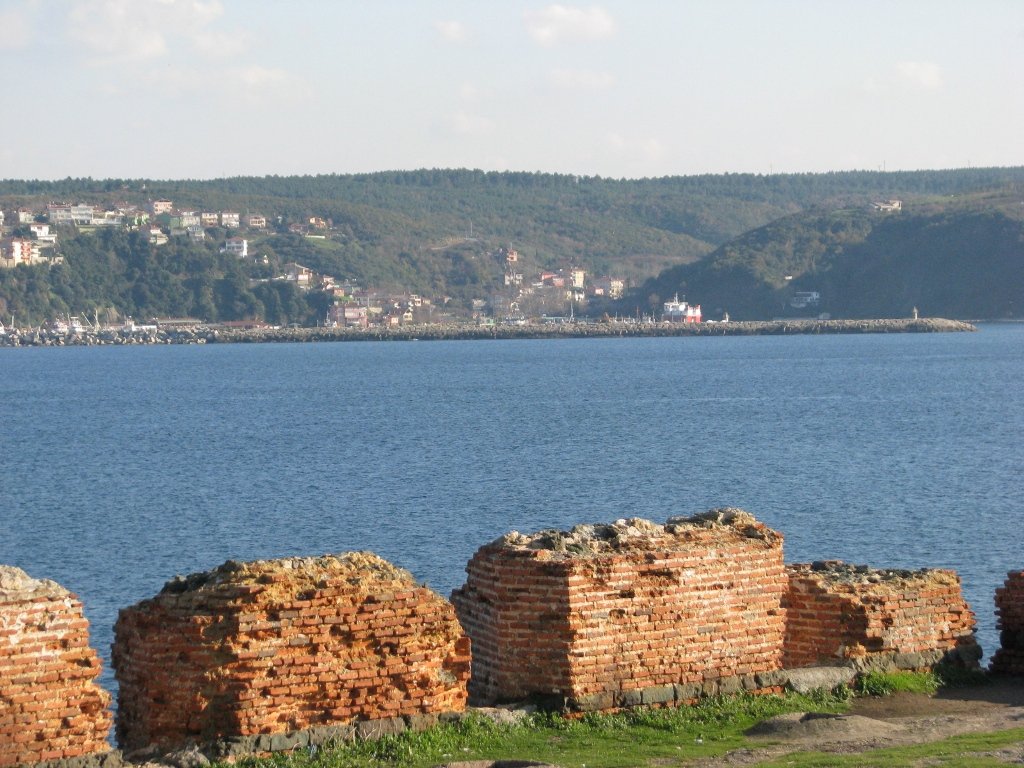 img4228kt5.jpg