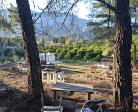 Forest View Camping