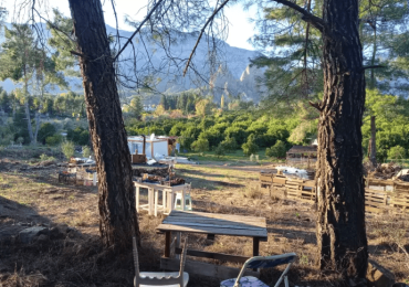 Forest View Camping