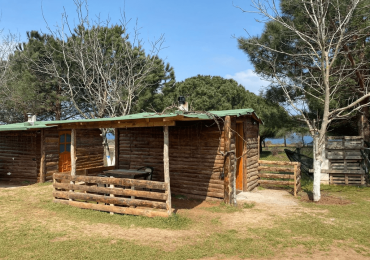 Bella Kamp