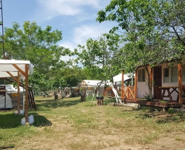 Dama Kamp Alanı