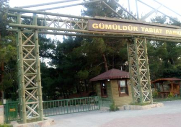 Gümüldür Orman Kampı