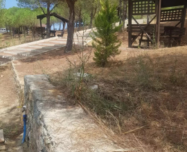 Riva Koru Park Piknik Kamp Alanı