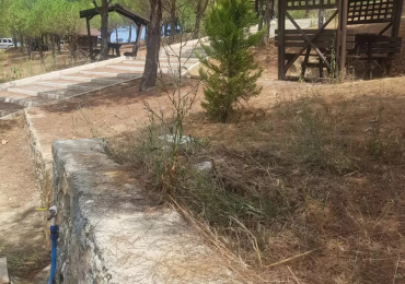 Riva Koru Park Piknik Kamp Alanı