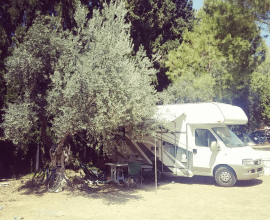 Önder Camping