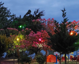 Saklı Koy Camping