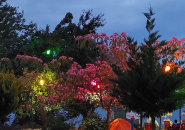 Saklı Koy Camping